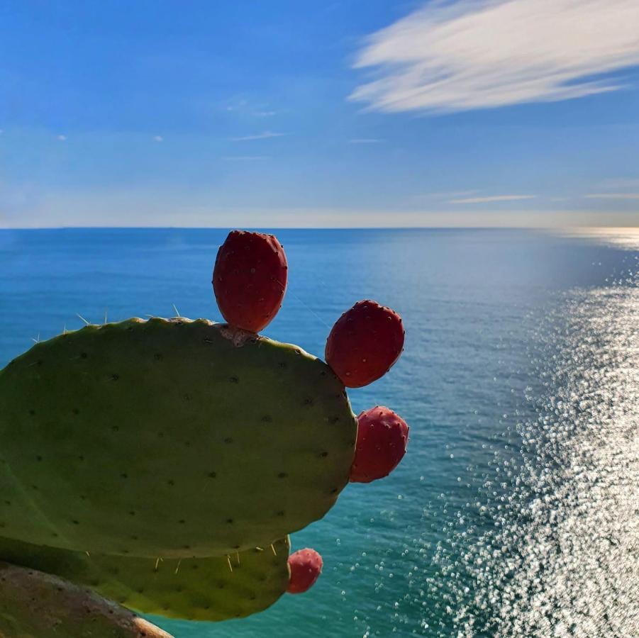 La Terrazza Sul Blu Apartment Corniglia Ngoại thất bức ảnh