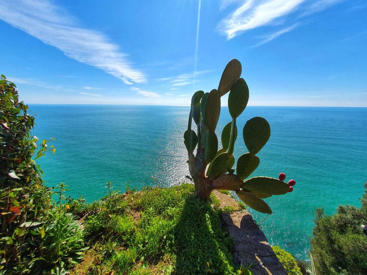 La Terrazza Sul Blu Apartment Corniglia Ngoại thất bức ảnh