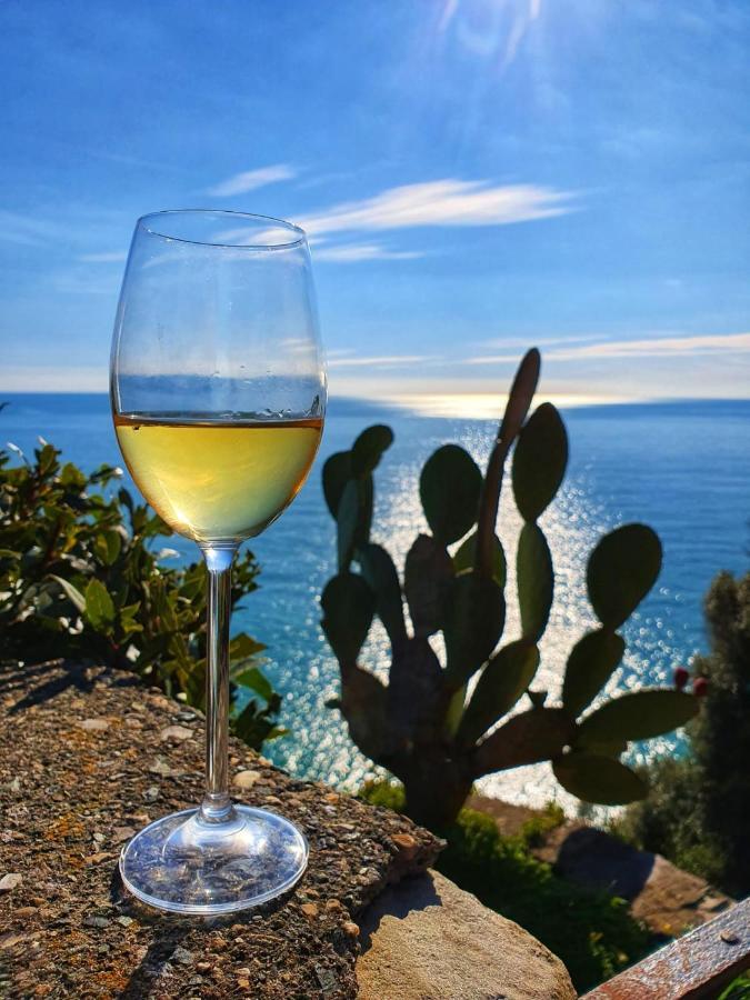 La Terrazza Sul Blu Apartment Corniglia Ngoại thất bức ảnh