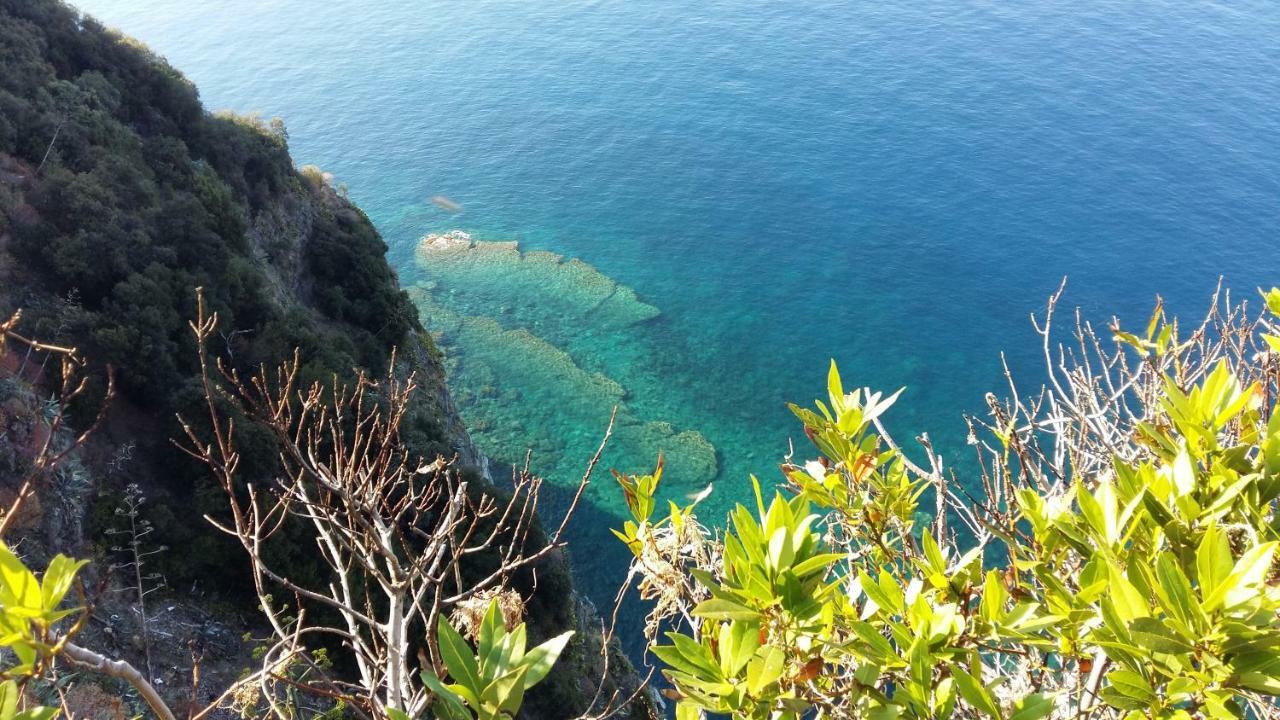 La Terrazza Sul Blu Apartment Corniglia Ngoại thất bức ảnh