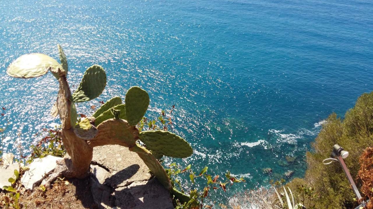 La Terrazza Sul Blu Apartment Corniglia Ngoại thất bức ảnh